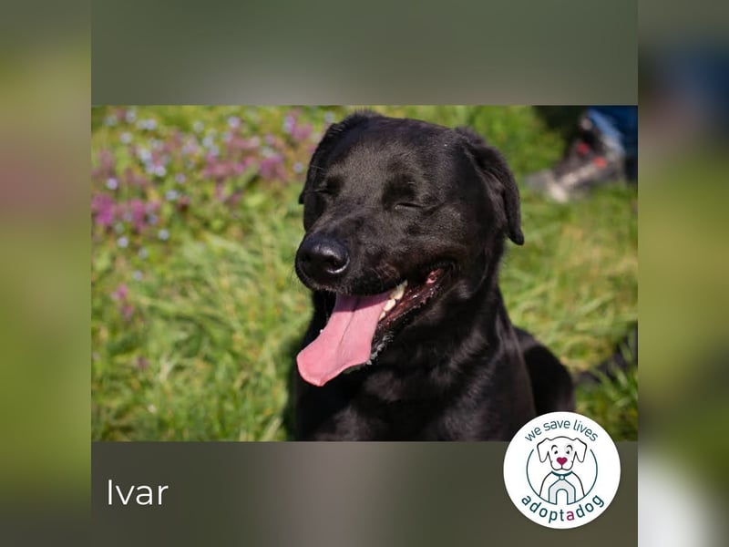 Ivar: Will Abenteuer erleben