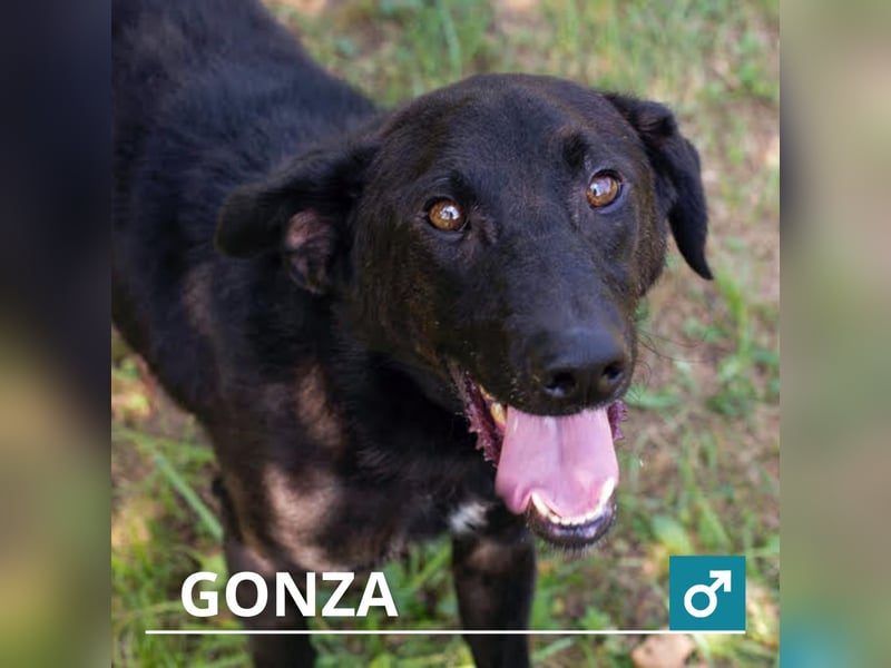 Gonza – Bewegungs-Fan sucht Nähe