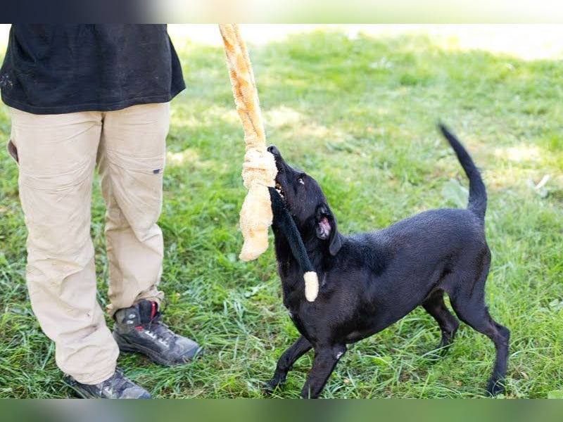 Gonza – Bewegungs-Fan sucht Nähe