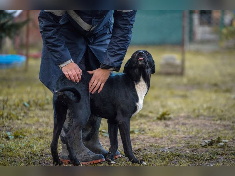 Larry: Sportskanone sucht Gleichgesinnte
