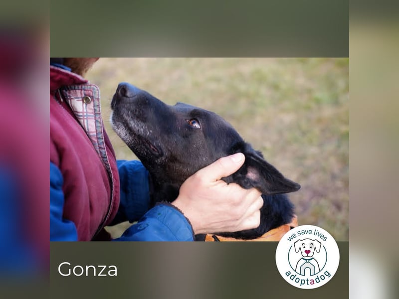 Gonza – Bewegungs-Fan sucht Nähe