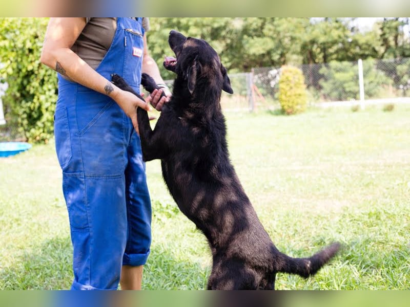 Gonza – Bewegungs-Fan sucht Nähe