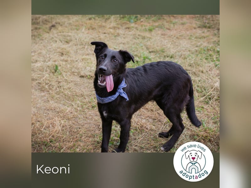 Keoni: ein kleiner Held mit großem Herzen