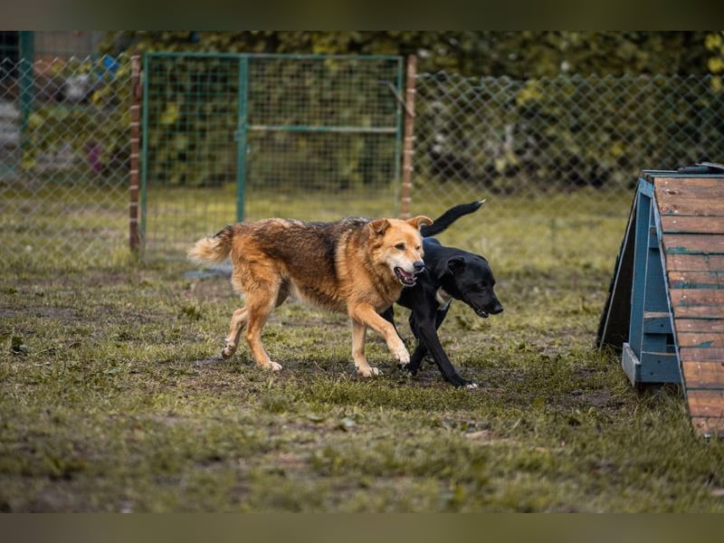Larry: Sportskanone sucht Gleichgesinnte
