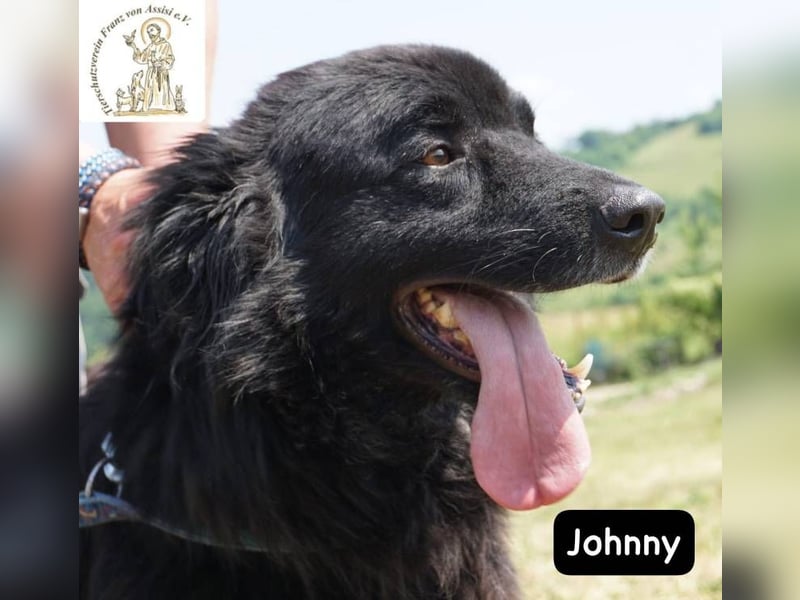 Johnny - Mal sanft, mal wild, ein Freund fürs Herz, ein Seelenkind!