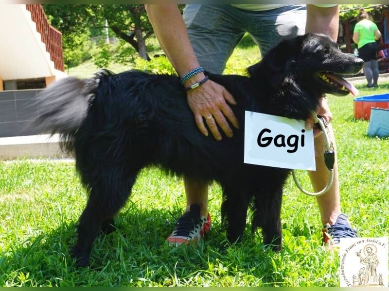 Gagi – schwarzer Sonnenschein mit Gute-Laune-Garantie!