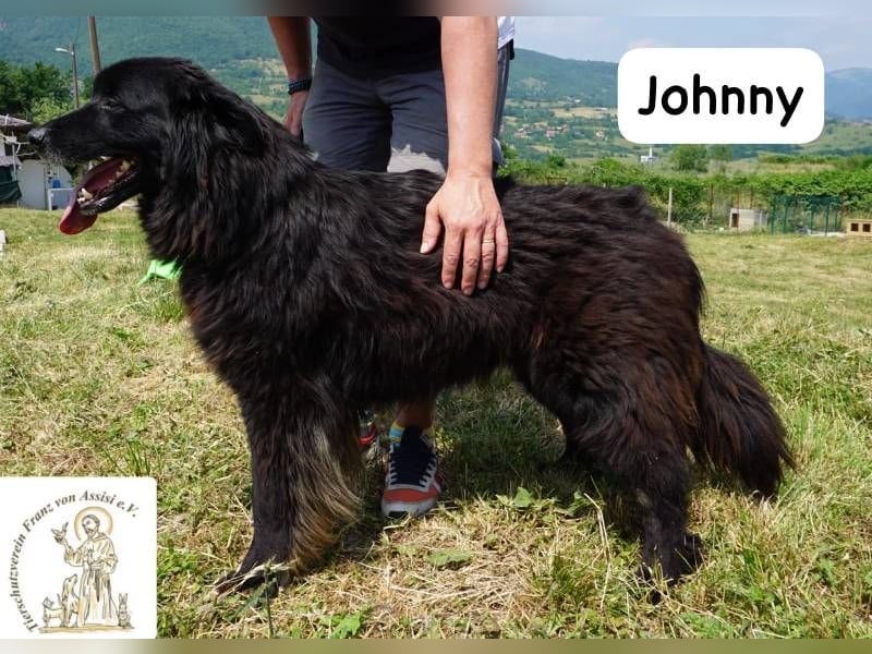 Johnny - Mal sanft, mal wild, ein Freund fürs Herz, ein Seelenkind!