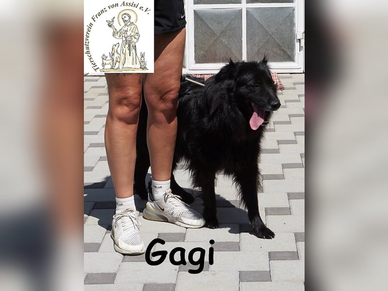 Gagi – schwarzer Sonnenschein mit Gute-Laune-Garantie!