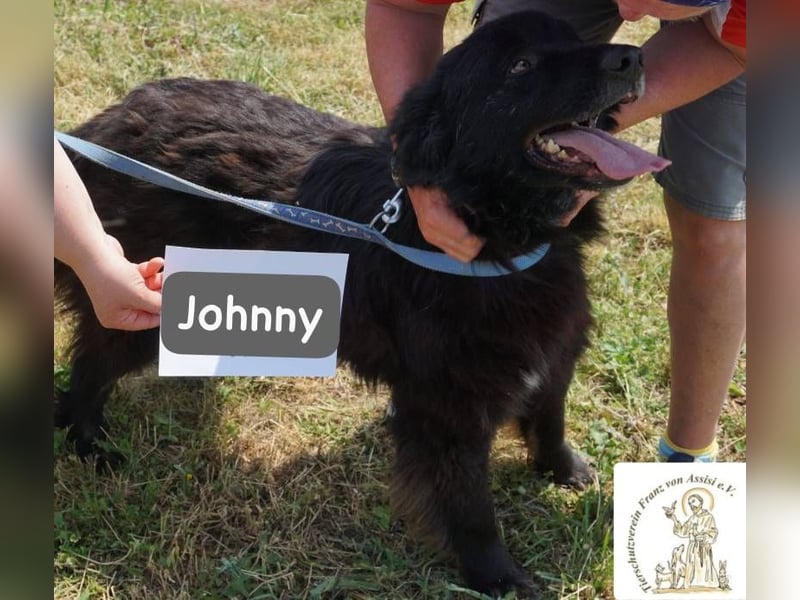 Johnny - Mal sanft, mal wild, ein Freund fürs Herz, ein Seelenkind!