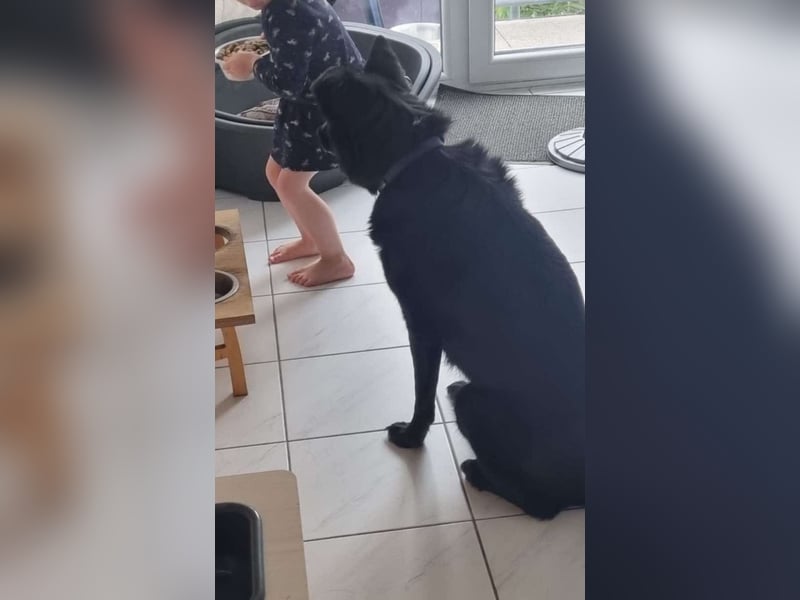 freundlicher MANNI sucht seine Familie