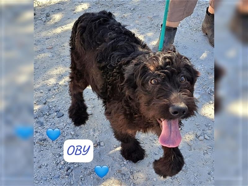 Hallo, ich heiße Otby und möchte Rumänien schnell verlassen