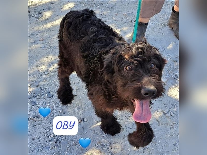 Hallo, ich heiße Otby und möchte Rumänien schnell verlassen