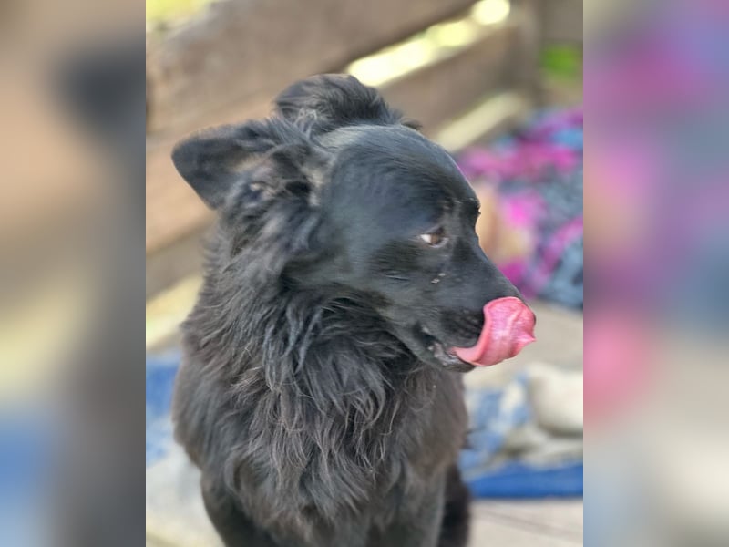 RUDI (*2023) sucht ein liebevolles Zuhause