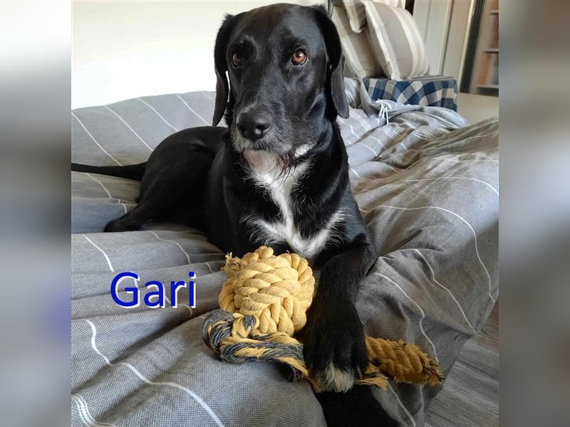GARI ❤  wartet in 21129 Hamburg auf Dich