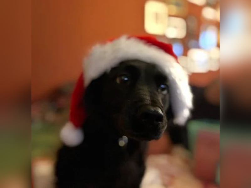 Luc