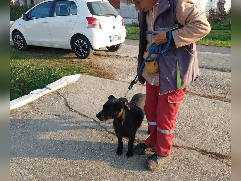 Fido sucht ein Zuhause