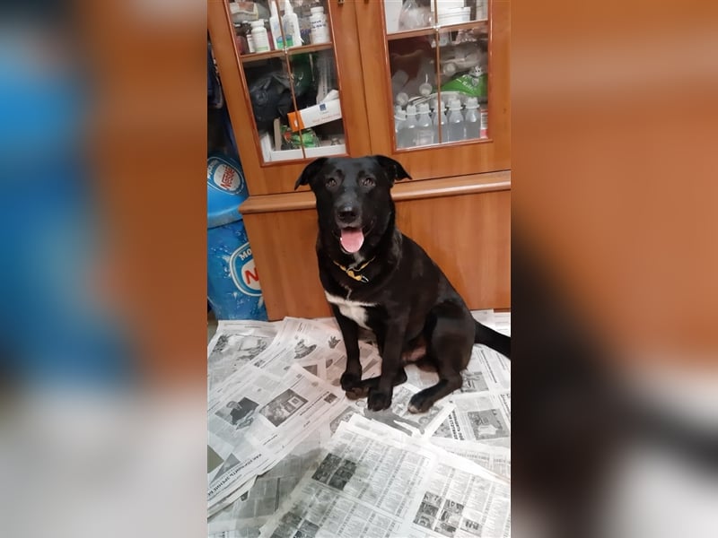 Pablo