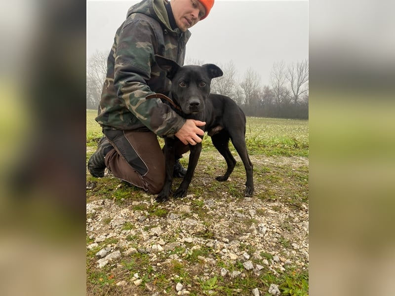 Miki iste bereit zur Ausreise und für einen Neustart in ein besseres Leben !