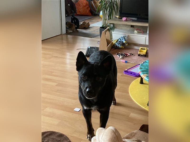 Turbo, DE, ein sportlicher Rohdiamant