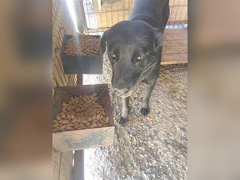 CASPER, Notfall, wartet schon so lange