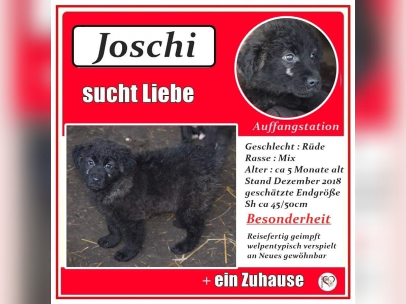 Joschi