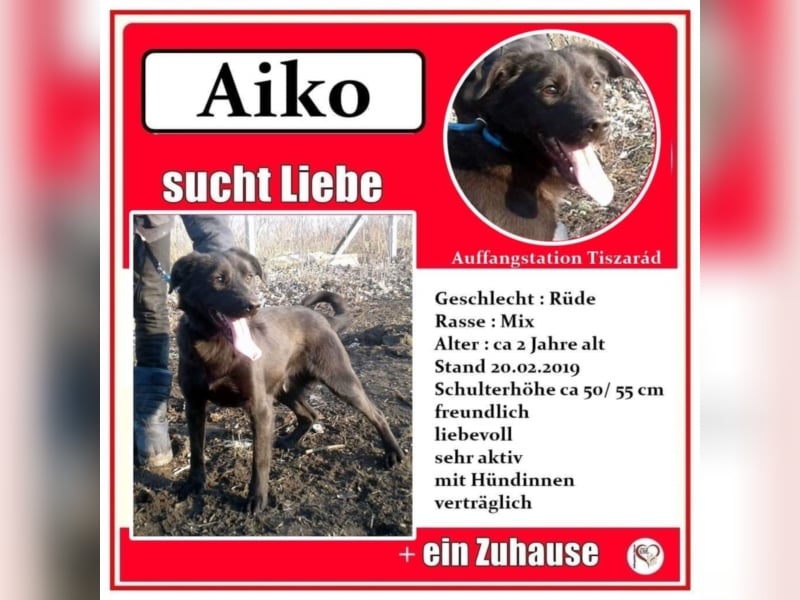 Aiko