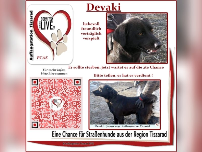 Devaki