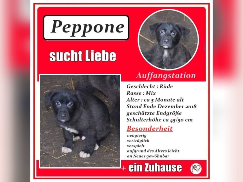 Peppone