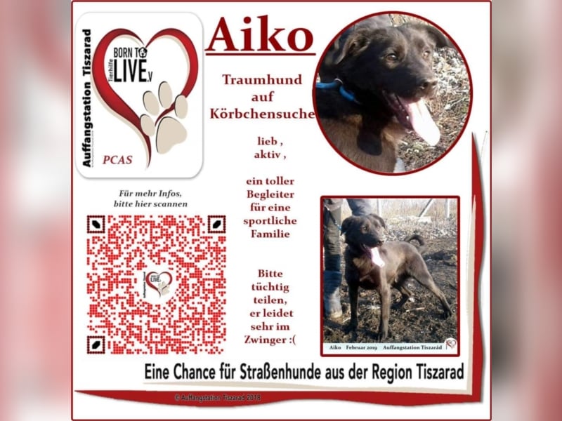 Aiko