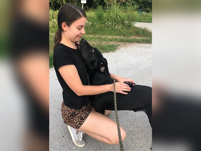 **NOTFALL** Paško - Hundeerfahrene Menschen gesucht – Wer gibt ihm eine Chance?