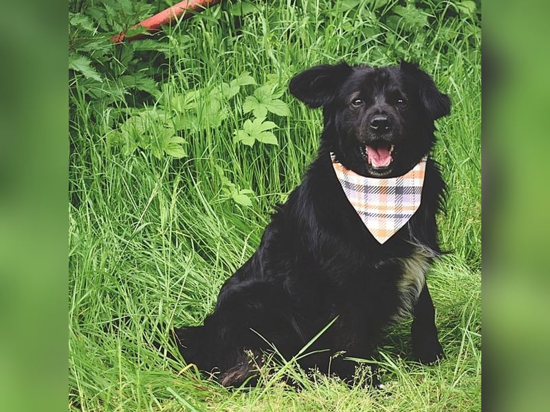 Cooper Y157 ist ein herziger Clown