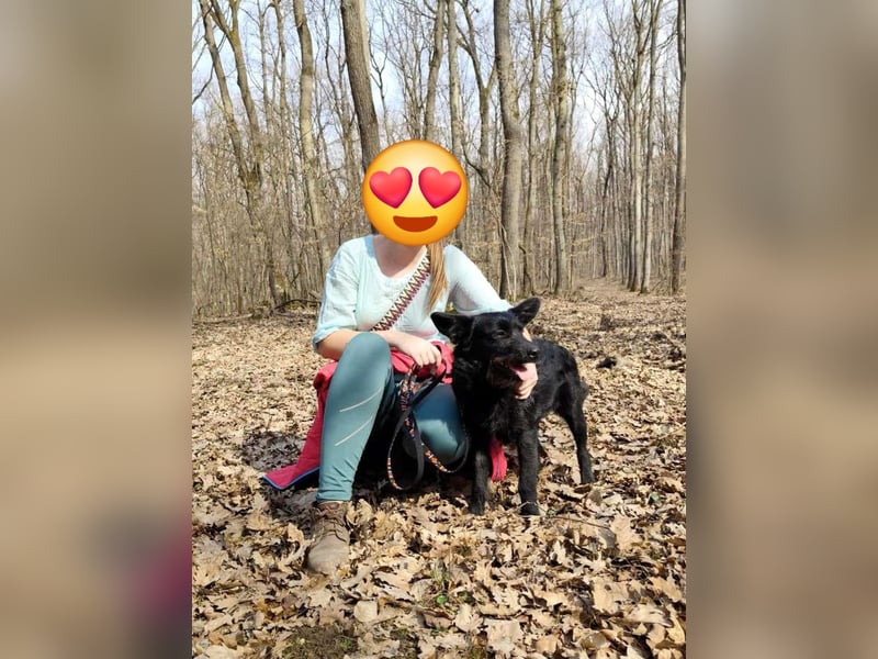 Hunter erobert die Herzen im Sturm