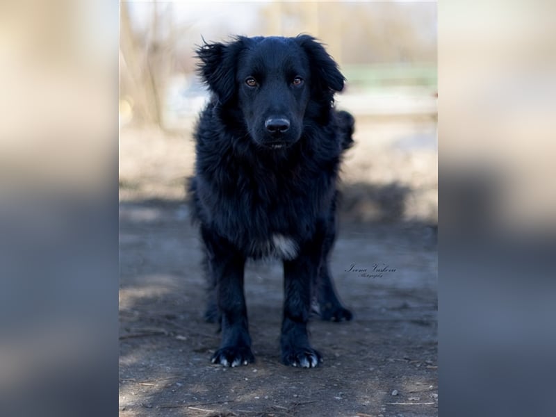 Clyde S195 ist sofort der beste Freund