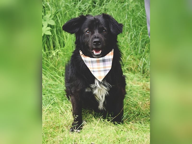 Cooper Y157 ist ein herziger Clown