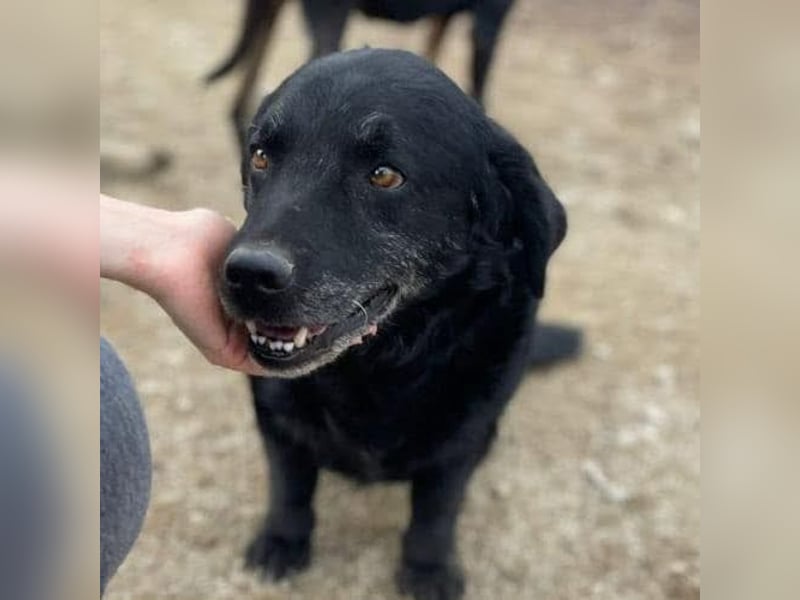 Frodo sucht einen Gnadenplatz