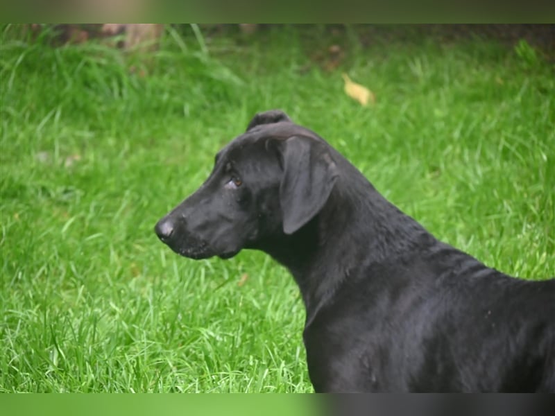 Oliver der Liebe