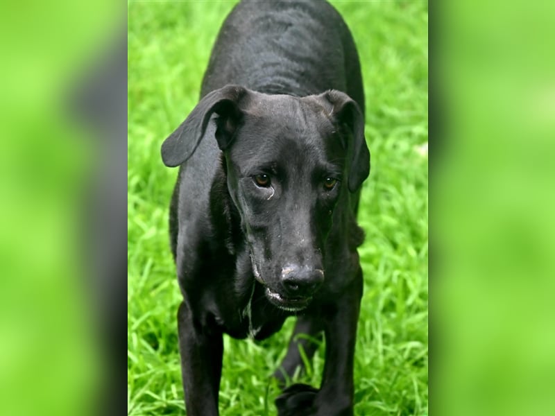 Oliver der Liebe