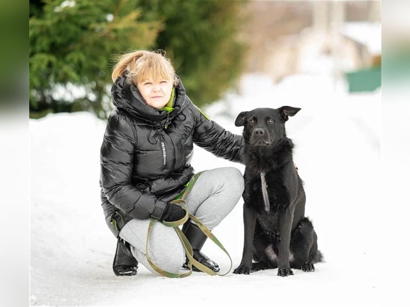 Billy❤️ Familienhund will endlich ankommen