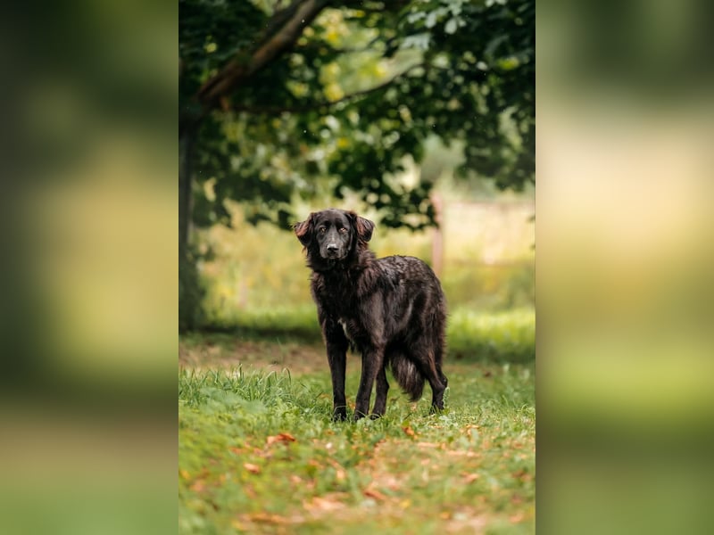 Hübscher Willy sucht perfektes Zuhause