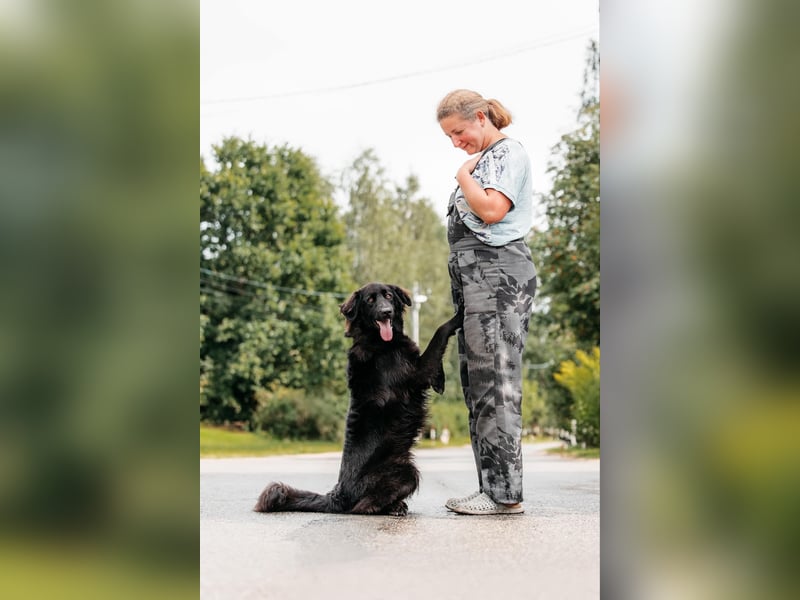 Hübscher Willy sucht perfektes Zuhause