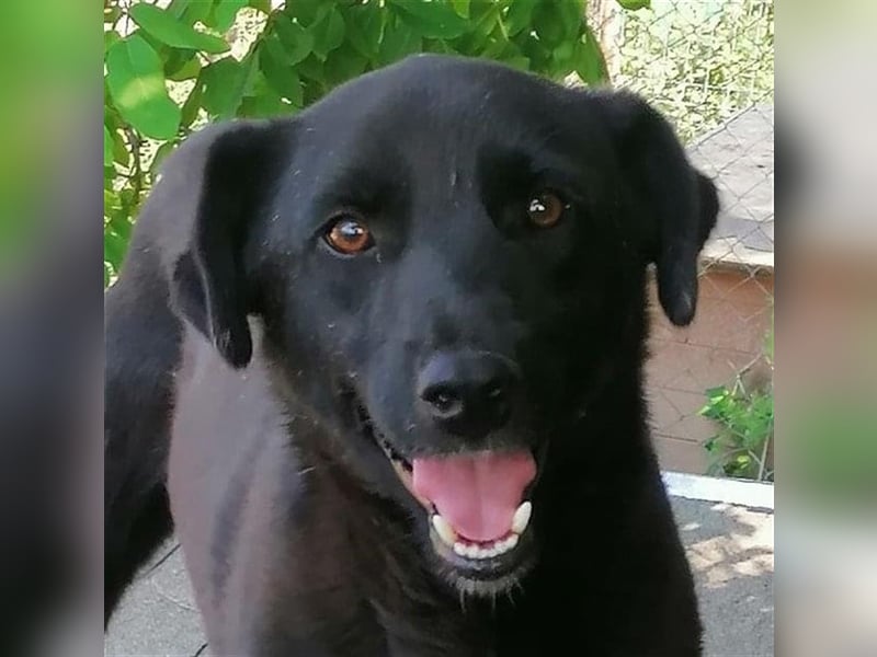Luca