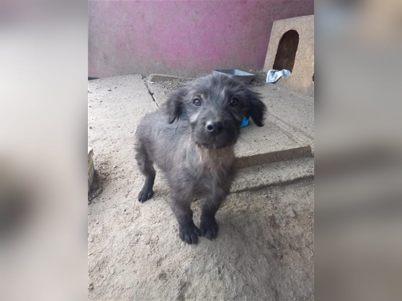 Unser kleiner Maxi
