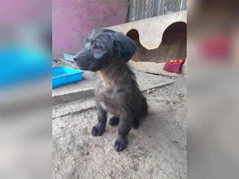 Unser kleiner Maxi
