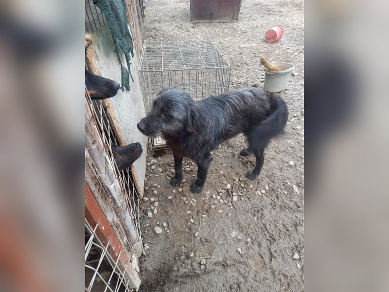 Unser kleiner Maxi