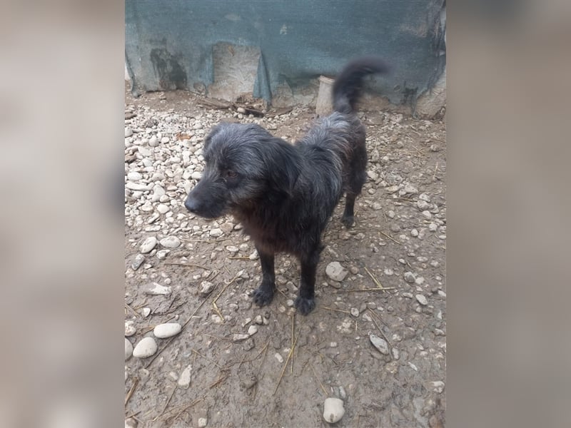 Unser kleiner Maxi