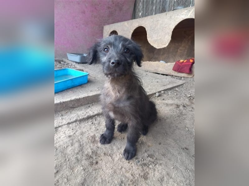 Unser kleiner Maxi