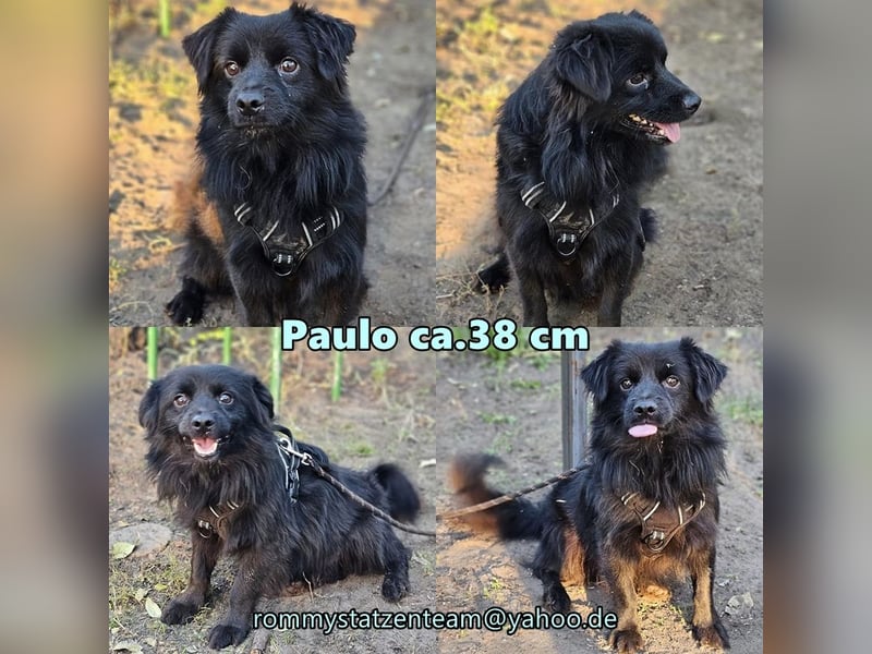 Paulo ist neugierig und wissbegierig