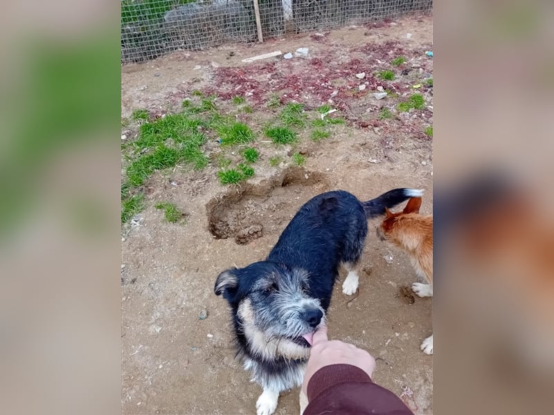 FRED sucht sein Traumkörbchen