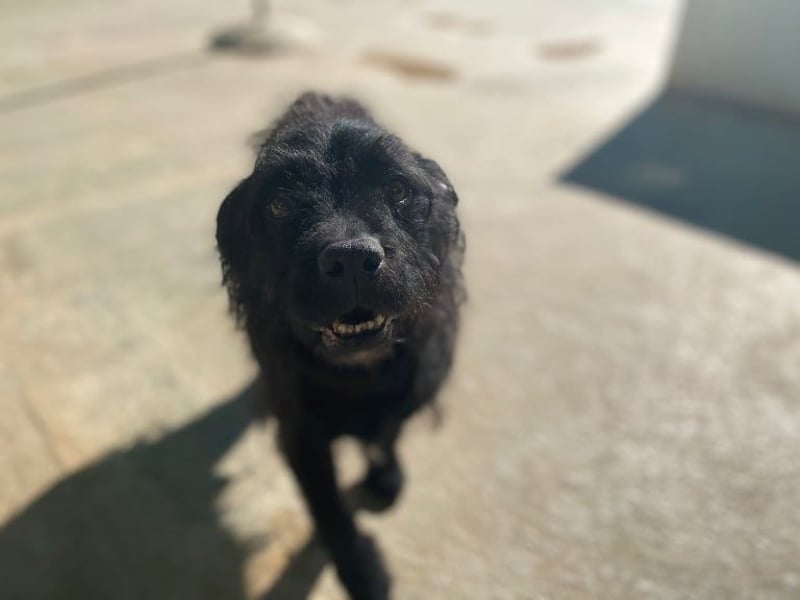 MARIO (Sucht Patenschaft)