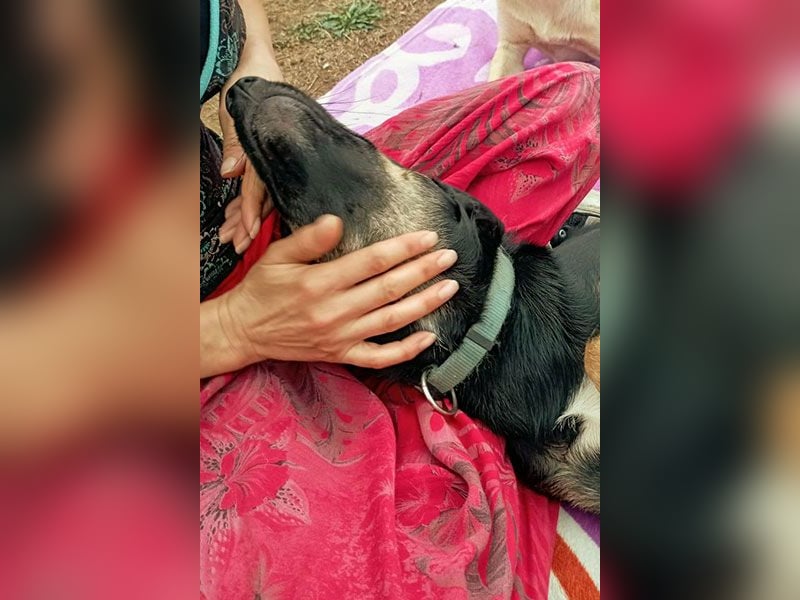 Conan sucht sein Glück!